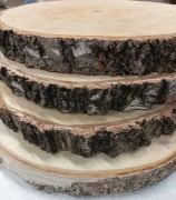 1x-Plaster-Drewna-Brzozowego-32-37cm-4cm-Krazki-do-Projektow-DIY-Dekoracja-EAN-GTIN-5907568796084.jpg