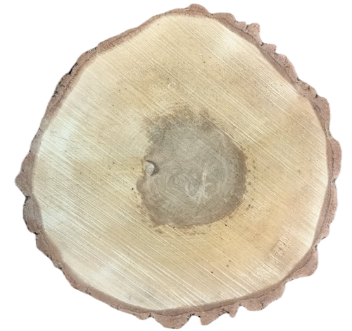 IMG20230314160216.png