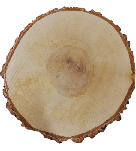 Projekt bez nazwy (19).png