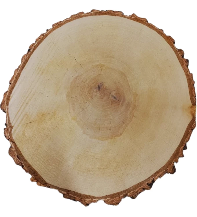 Projekt bez nazwy (19).png