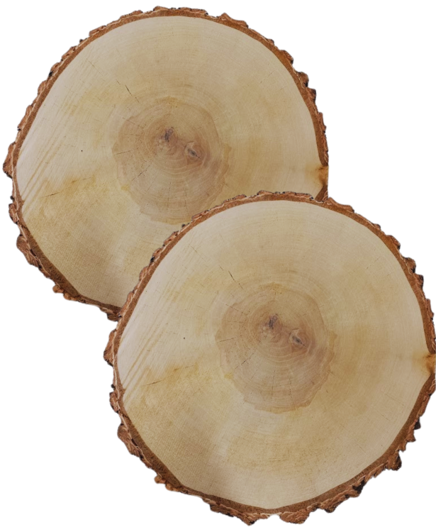 Projekt bez nazwy (20).png