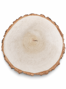 1 (4).png