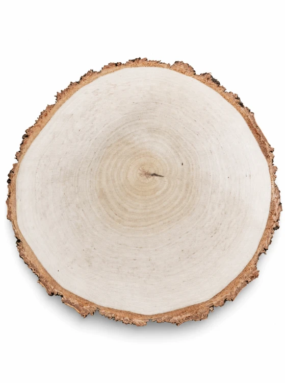 1 (4).png