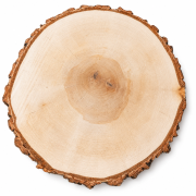 1 (24).png