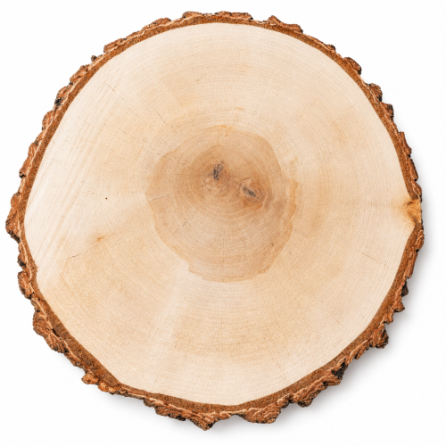 1 (24).png