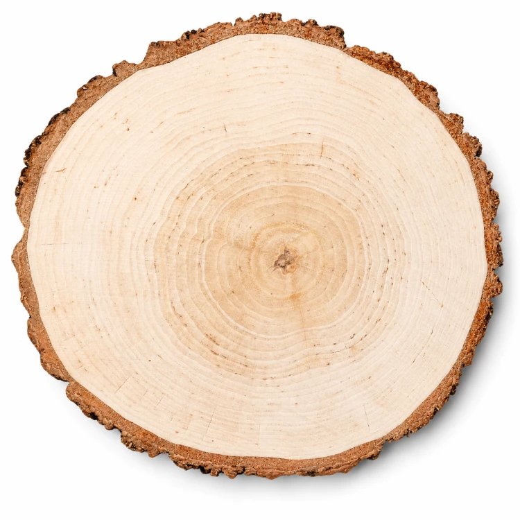 1 (22).png